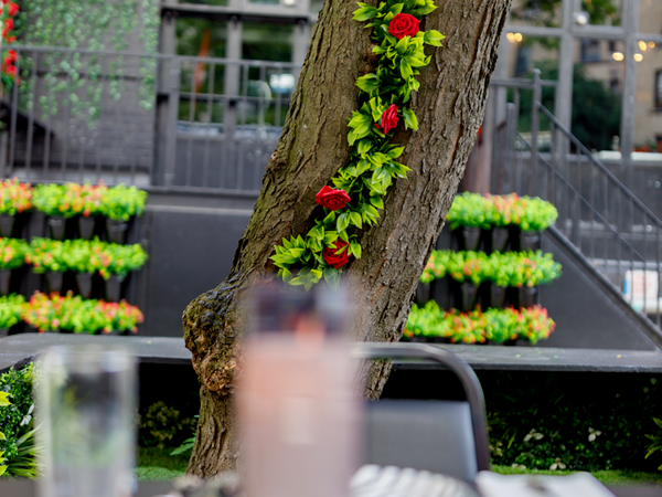 plantings outside the building